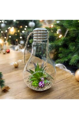 Ampul Tasarımlı Cam Teraryum Sukulent ürün fotoğrafı