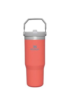 10-09993-195 The Iceflow Flip Straw 0,89 Litre Pipetli Termos Bardak - Açık Mercan ürün fotoğrafı