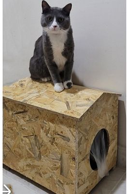 Dış Mekan Yağmura Ve Soğuğa Dayanıklı Osb Kedi Evi Yuvası (DENİZ TUTKALLI)monte Edilmiş Teslimat A ürün fotoğrafı