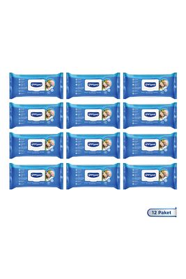Vücut Temizleme Mendili 48 Li X 12 Adet (576 YAPRAK) ürün fotoğrafı