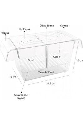 Atlantik Ikili Kristal Balık Yavruluk 14,5 cm x 10 cm ürün fotoğrafı