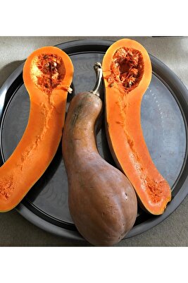 Yerli Ata Tohumu Ampul Bal Kabağı 5 Adet ürün fotoğrafı