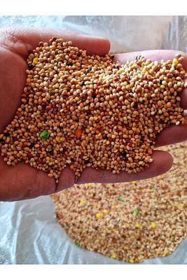Muhabbet Yemi - 5 Kg Karışık Vitaminli ürün fotoğrafı