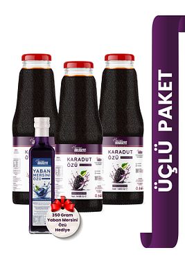 3 Adet Karadut Özü 1400 gr Yaban Mersin Özü 350 gr ürün fotoğrafı