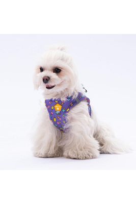 Ice Cream Air-mesh Göğüs Tasması Kedi Köpek Göğüs Tasması ürün fotoğrafı