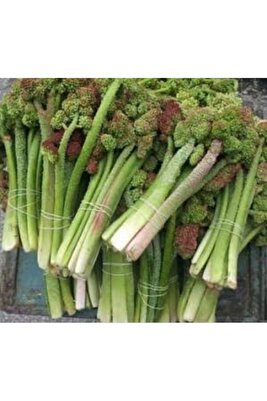 Erzurum Ipek Gurme Işkın Otu, Eskin Otu,yayla Muzu,dağ Muzu 1 Kg ürün fotoğrafı