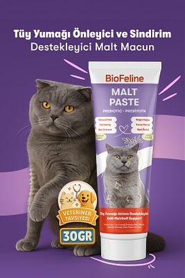 Kediler İçin Tüy Yumağı Önleyici ve Sindirim Destekleyici Malt Macunu 30g-Deneme Boy ürün fotoğrafı