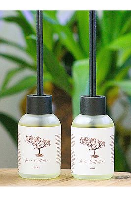 Banyo Tuvalet Kokusu Esansiyel Oda Kokusu Koku Giderici Egzotik Pink Mango2x50ml (ÇİÇEKSİZ) ürün fotoğrafı