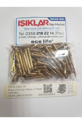 Beton Çivisi 3x30 Mm 100 Adet ürün fotoğrafı