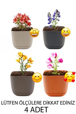 4 Adet 2 No Kare Çok Renkli Mercan Kare Kaktüs Ve Sukulent Saksı Seti ürün fotoğrafı