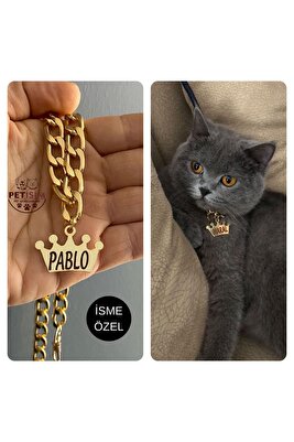 Kedi Tasması Isimli Kedi Tasması Zincirli Tasma Paslanmaz Metal ürün fotoğrafı