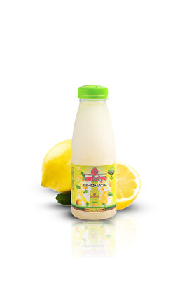 Dondurulmuş Doğal Limonata Şekersiz 330 Ml. ürün fotoğrafı