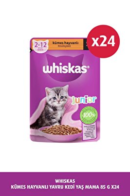 Yavru Kümes Hayvanlı Poşet Kedi Mama 85 gr X 24 ürün fotoğrafı