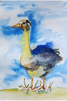 Renkli Horus Resmi ürün fotoğrafı