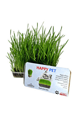 Kedi Çimi & Otu Seti Buğday Arpa Yulaf Tahıl Karışımı Ek Vitamin Tüy Yumağı Engeller ürün fotoğrafı