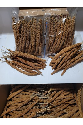 Kızıl Dal Darı (YENİ MAHSUL) 500 gr ürün fotoğrafı