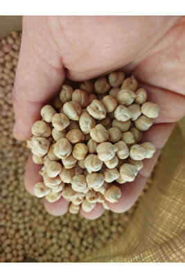 Nohut Köy Mahsulu Yerli 2 Kg Katkısız ürün fotoğrafı