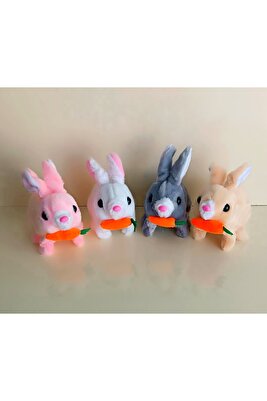 Konuşan Müzikli Işıklı Peluş Oyuncak ürün fotoğrafı