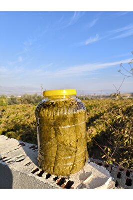 TOKAT ERBAA Katkısız Doğal Salamura Asma Yaprağı Yeni Mahsül 5 Kilogramlık Bidonda Sıkı Basımdır ürün fotoğrafı