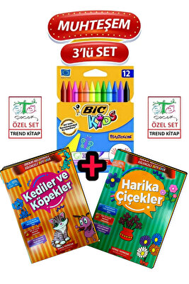 Kids Plastidecor Silinebilir Pastel Boya 12 Renk Eğitici Boyamalar Ve kby P ürün fotoğrafı