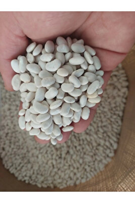 Kuru Fasulye 3kg ürün fotoğrafı