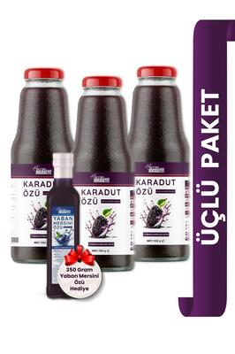 3 Adet Karadut Özü 1350 g + Yaban Mersini Özü 350 g ürün fotoğrafı