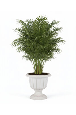 Nergis Saksı 9,8 Litre Dekoratif Kırık Beyaz ürün fotoğrafı