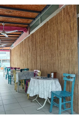 Kamış Hasır 2,00×3,00 m ürün fotoğrafı