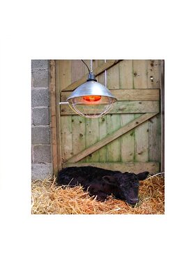 Isıtıcı Lamba 250 Watt ürün fotoğrafı