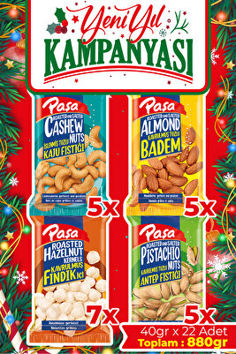 Karışık Kuruyemiş 40 gr X 22 Adet (880 GR) ürün fotoğrafı