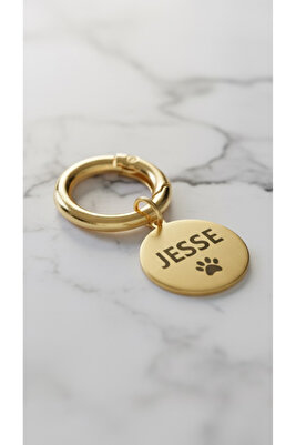 Isimli Çelik Kedi Köpek Künyesi ( 35 Sembol Seçeneği Ile Kendi Künyeni Tasarla ) ürün fotoğrafı