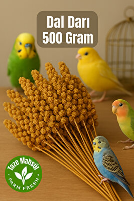 Kızıl Dal Darı (YENİ MAHSUL) 500 gr ürün fotoğrafı