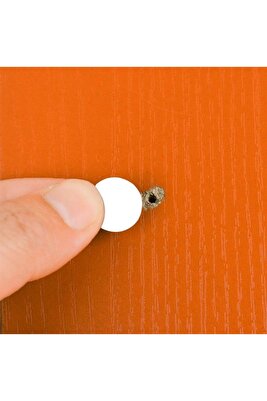 Trs Yapışkanlı Vida Tapası Beyaz Vida Kapatıcı 10 Yaprak ürün fotoğrafı