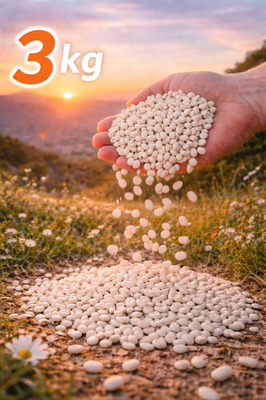 Kuru Fasulye 3kg ürün fotoğrafı