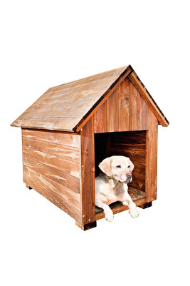 P İ N O X İ Ahşap Köpek Kulübesi Dış Mekan Köpek Kulübesi ürün fotoğrafı