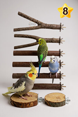 Tünek Platformu Kafes Aksesuarları 8 Adet Doğal Ahşap Kuş Levrek Standı-ahşap Papağan Levrek Standı ürün fotoğrafı