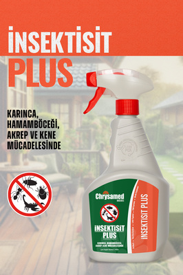 Insektisit Plus 1 Lt Böcek Ilacı Karınca Hamamböceği Akrep Kene Mücadelesi İçin Böcek Haşere İlacı ürün fotoğrafı