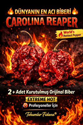 +2 Adet Carolina Reaper Kurutulmuş Orginal Biber ürün fotoğrafı