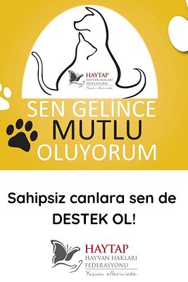 Sen Gelince Mutlu Oluyorum Destek Kartı ürün fotoğrafı
