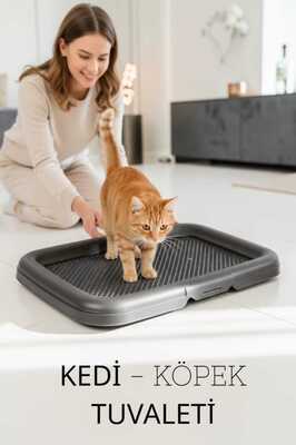 Pt-310 Akıllı Kedi Köpek Wc ürün fotoğrafı