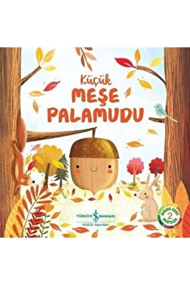 Küçük Meşe Palamudu ürün fotoğrafı