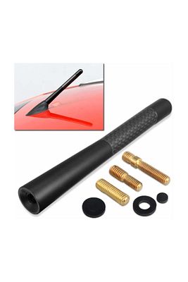 Ford Fiesta Uyumlu Karbon Desenli 10 cm Spor Oto Anteni ürün fotoğrafı