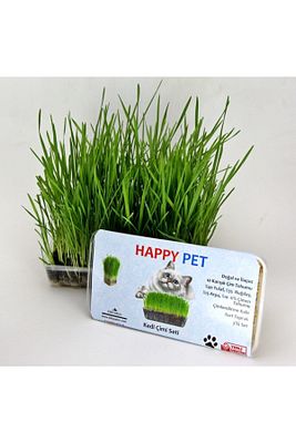 Kedi Çimi Kedi Otu Seti 100gr 6 Çeşit Tahıl Karışımı Ek Vitamin Mineral Tüy Yumağı Engeller ürün fotoğrafı