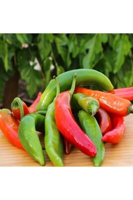 Samandağ Biberi Taze ürün fotoğrafı