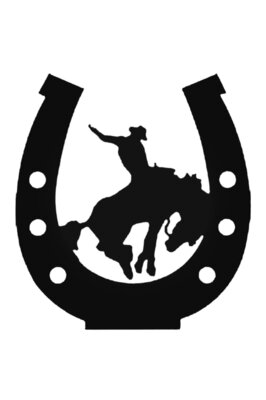 Bronc Kovboy Kızı Country Amp Western Die Cut Sticker Araba Oto Arma Duvar Sticker Çıkartma 20 cm ürün fotoğrafı