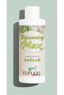 Blossomingmax - Orkideler İçin Dal Ve Çiçek Destekleyici Premium Besin 100 ml ürün fotoğrafı
