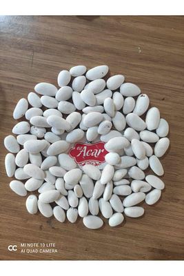 Beyaz Badem Şekeri 800 gram ürün fotoğrafı