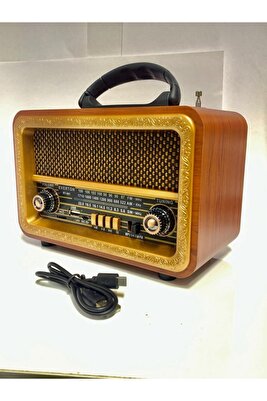 Everton Nostaljik Fm Radyo Bluetooth Tf Kart Usb Destekli Ahşap Kasa Radyo ürün fotoğrafı
