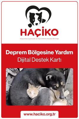 Deprem Destek Kartı ürün fotoğrafı