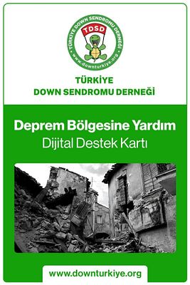 Dijital Deprem Destek Kartı ürün fotoğrafı